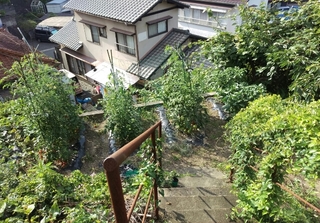 20170702133843794.jpg